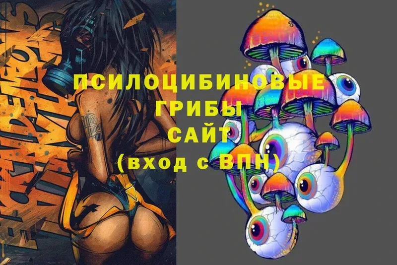 OMG   где можно купить   Трубчевск  Псилоцибиновые грибы Magic Shrooms 